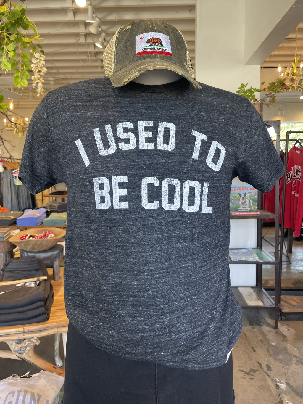 I Used To Be Cool Tee